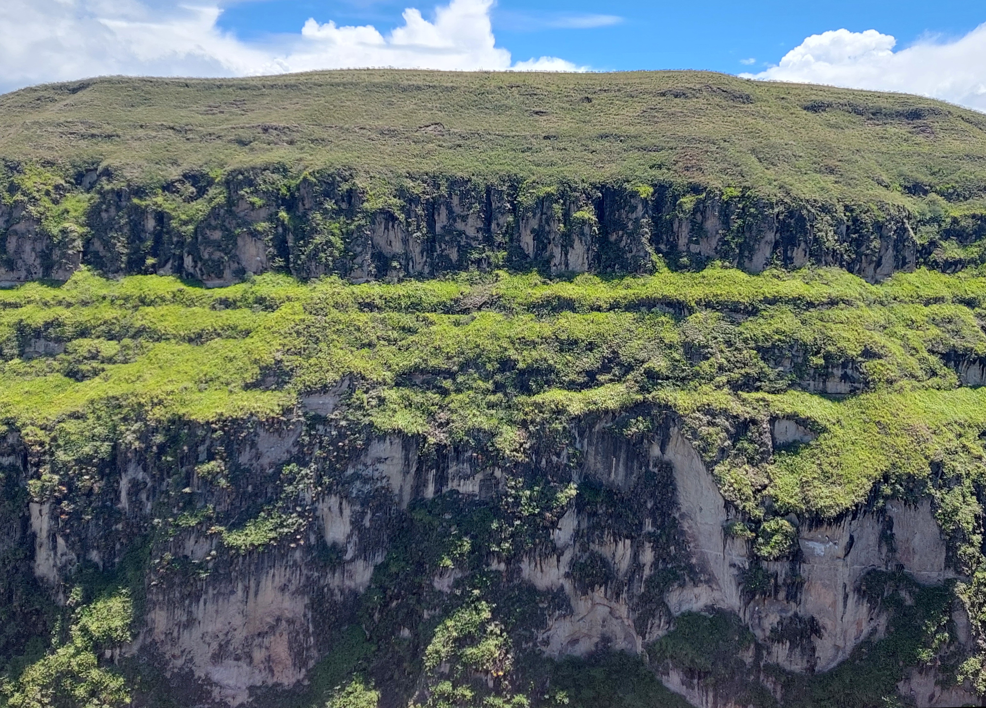 Ruta Pasto - Candelaria, paredes de roca del cañón del río Janambú